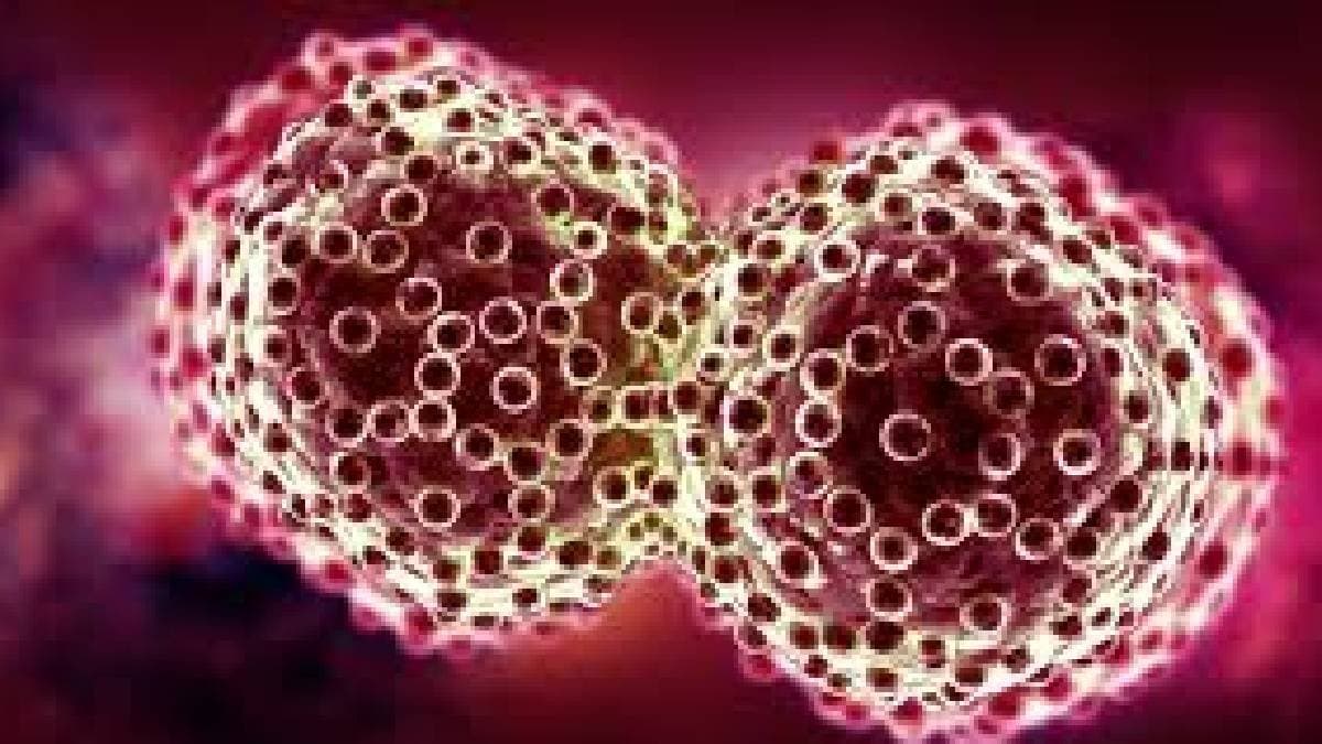 Cancer is on the rise among young people what is the reason gnr