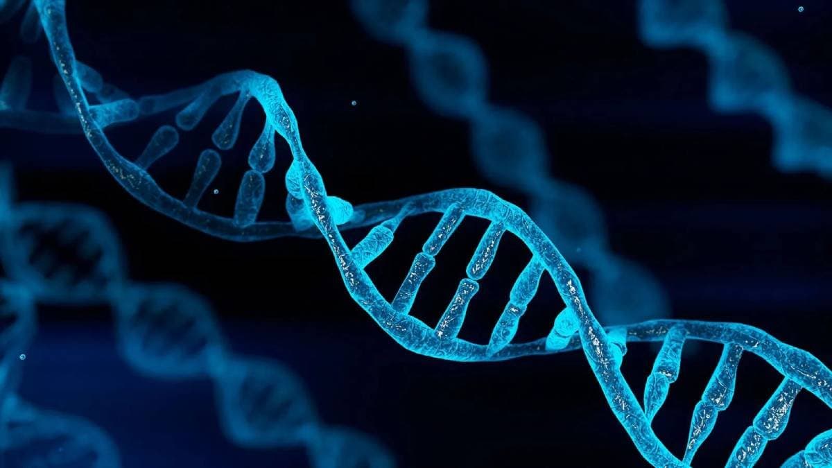 Study reveals RNAs unknown role in DNA damage repair gnr
