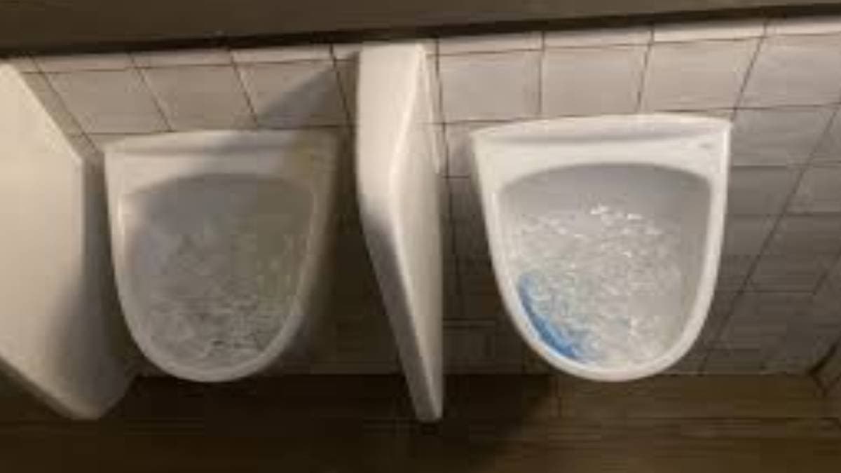 Why is ice kept in the restaurant toilet