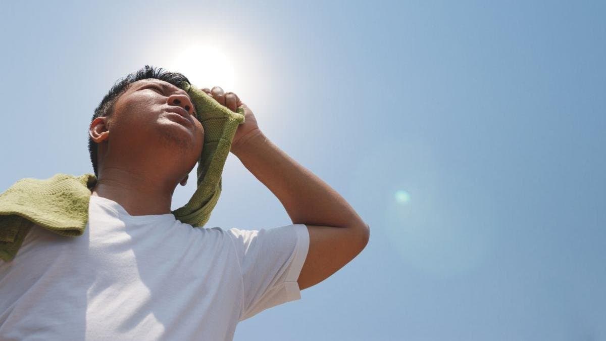 Five foods which can help to keep you hydrated in summer