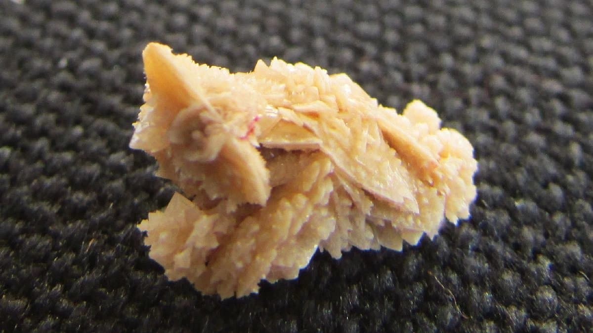 No drinking milk does not increase the risk of Kidney Stone