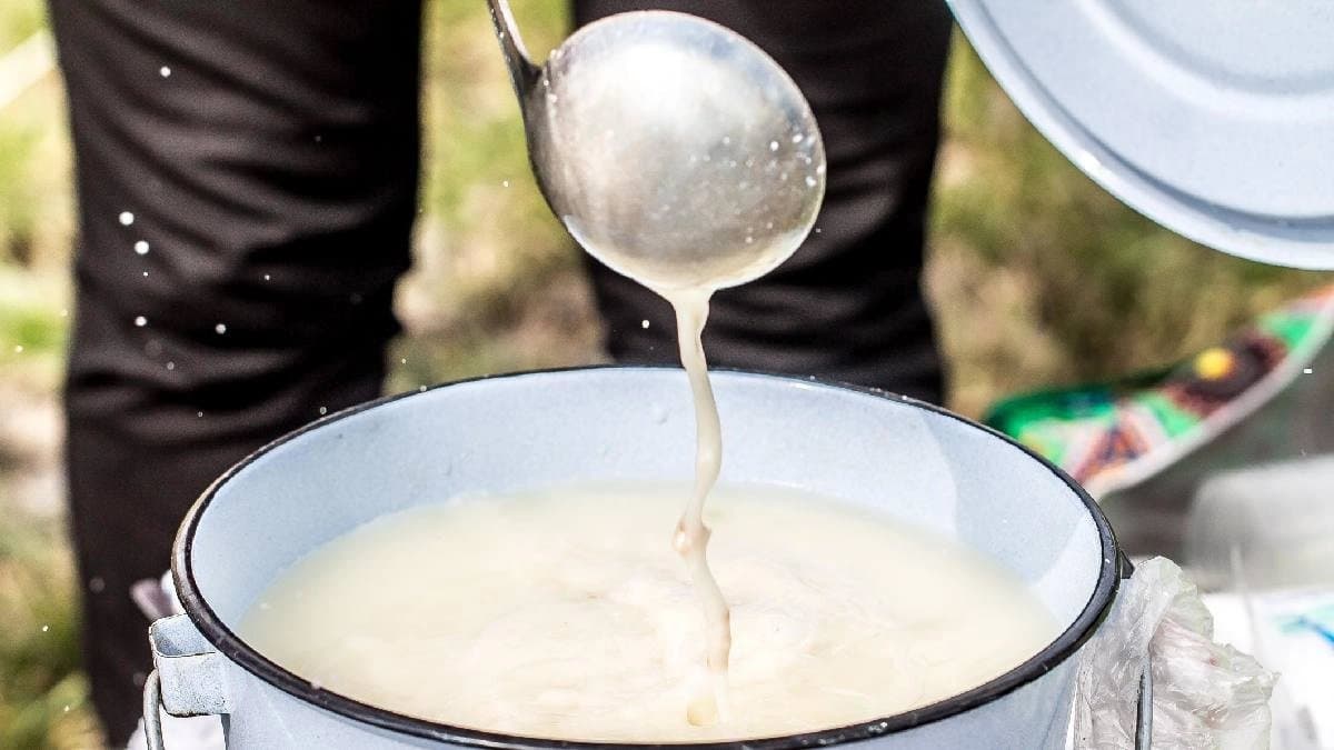 Raw milk or boiled milk which one is better for health