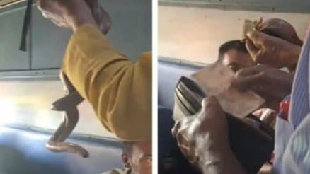 Man Carrying Snake Asks For Money From Train Passengers 