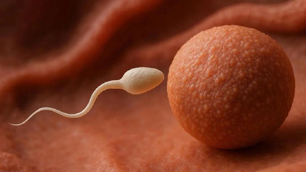 Older men are more likely to pass on disease-causing mutations