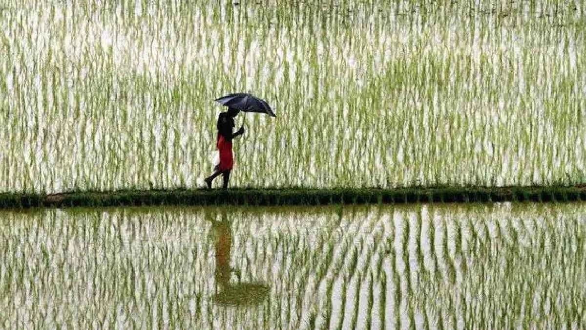 Southwest Monsoon give India normal to excess Rainfall   