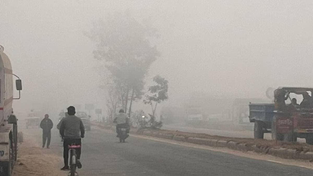 Imd weather update warning coldwave and heavy rainfall in these states gnr