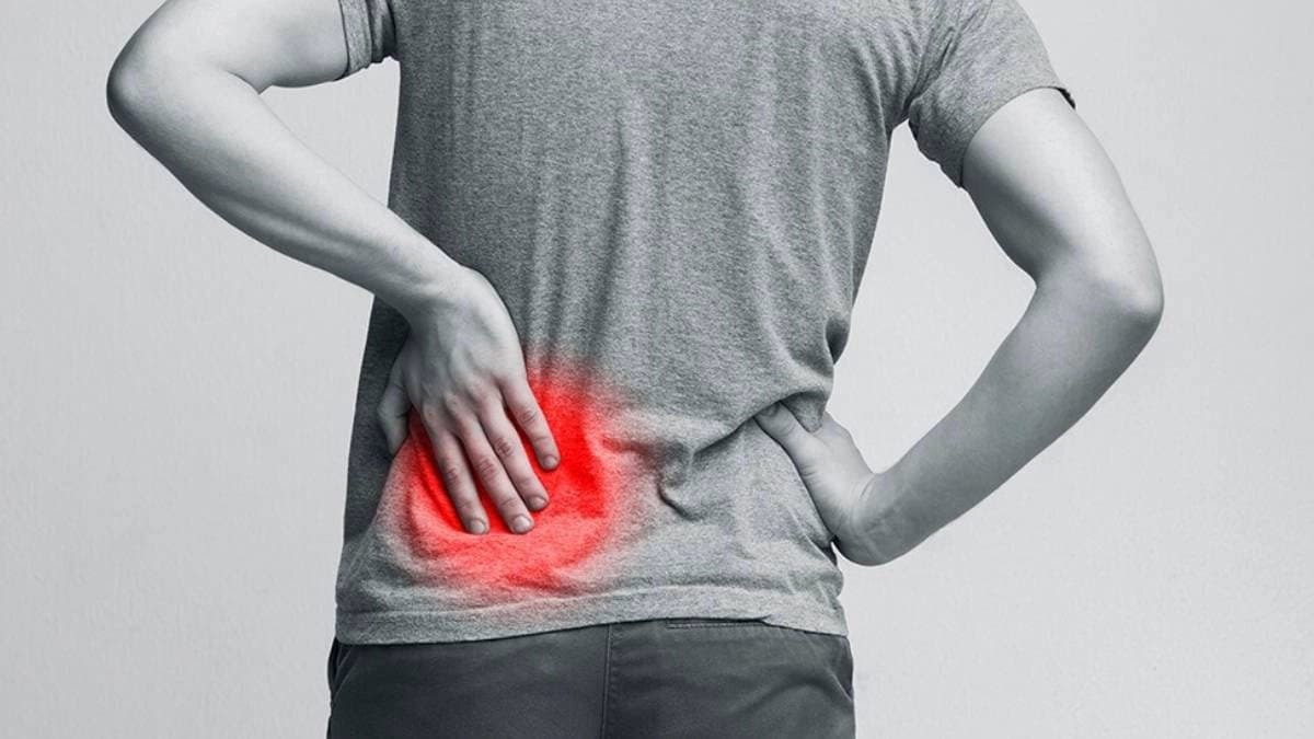 Sudden Lower Back Pain can be Kidney Stone Symptoms know other signs of kidney disease 