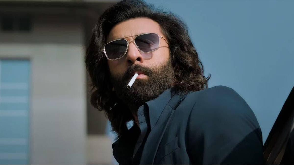 Actor Ranbir Kapoor addresses the glorification of violence in animal ent