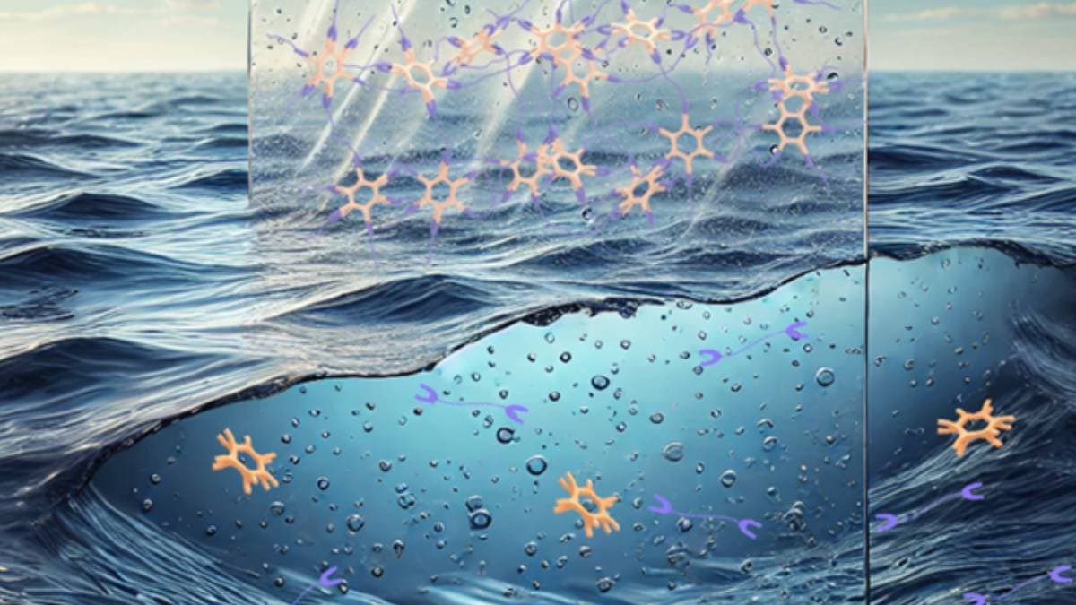 Japans new plastic is recyclable and fully ocean degradable