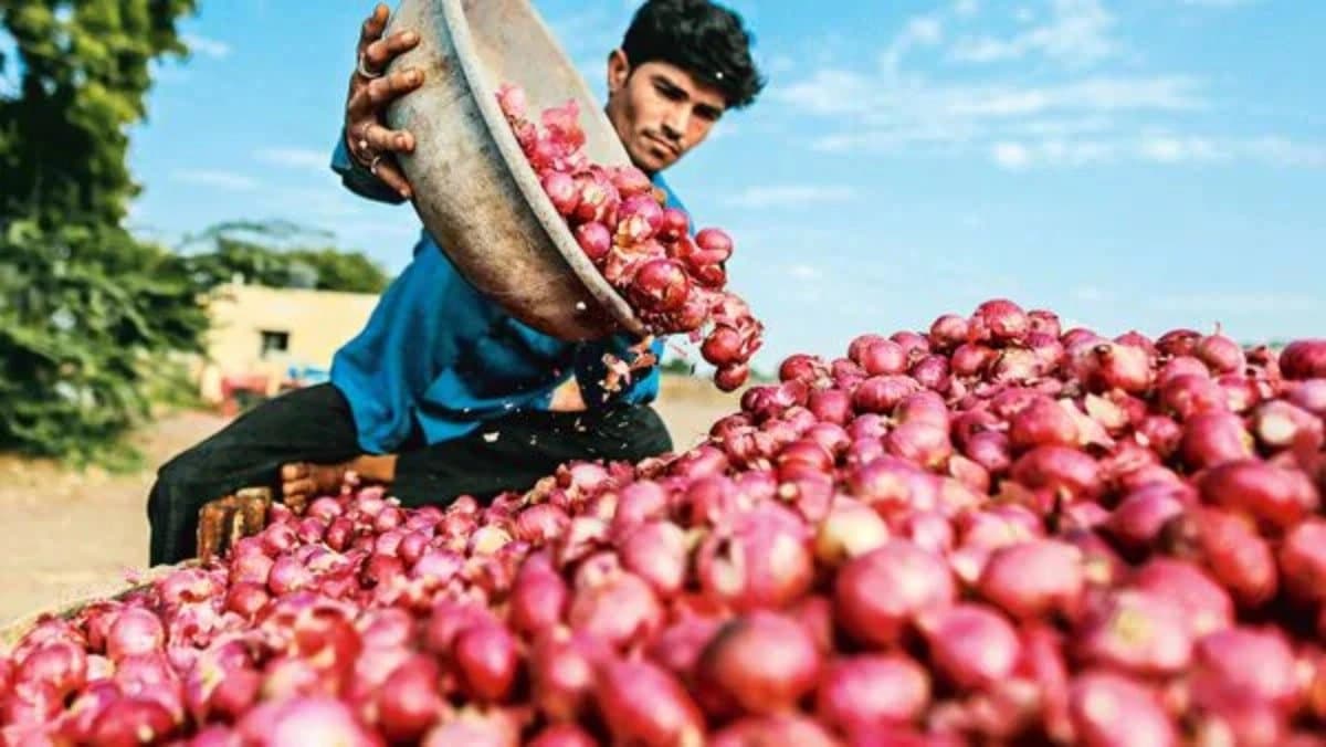 India earns huge by selling onions