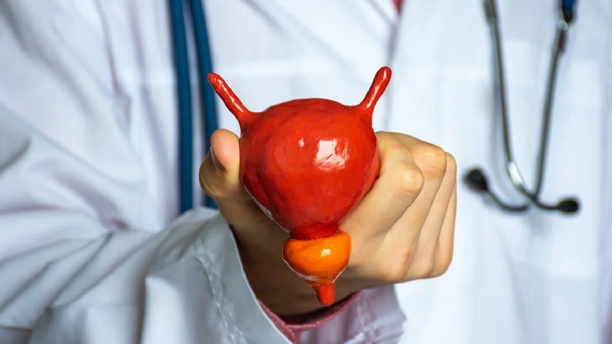 Doctors have successfully transplanted human bladder for the first time in history