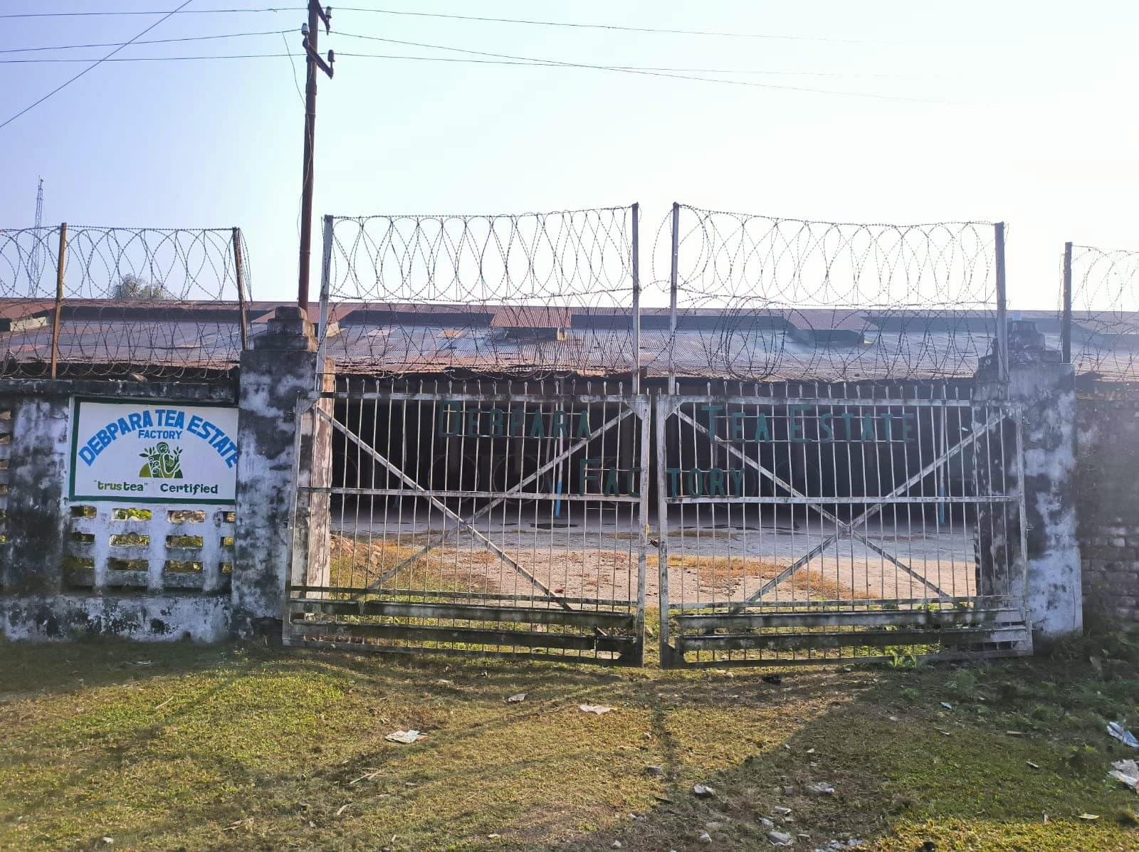 Tea Garden: ‌ফের বন্ধ হয়ে গেল দেবপাড়া চা বাগান