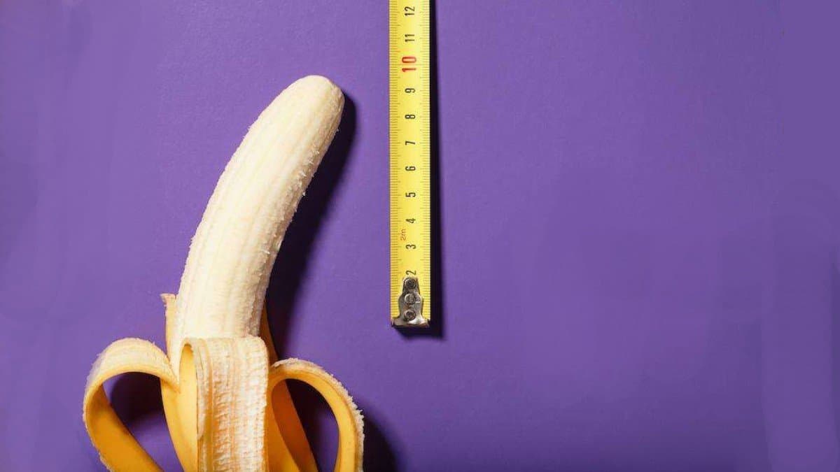 The length of human reproductive organs is changing according to scientists