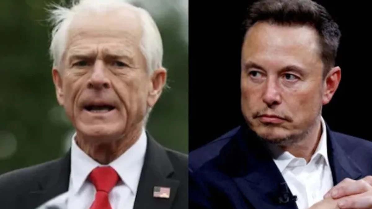 What Elon Musk told US advisor Peter Navarro about anti-India post