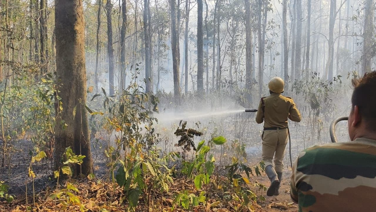 Dooars: ‌চাপড়ামারিতে দাবানল