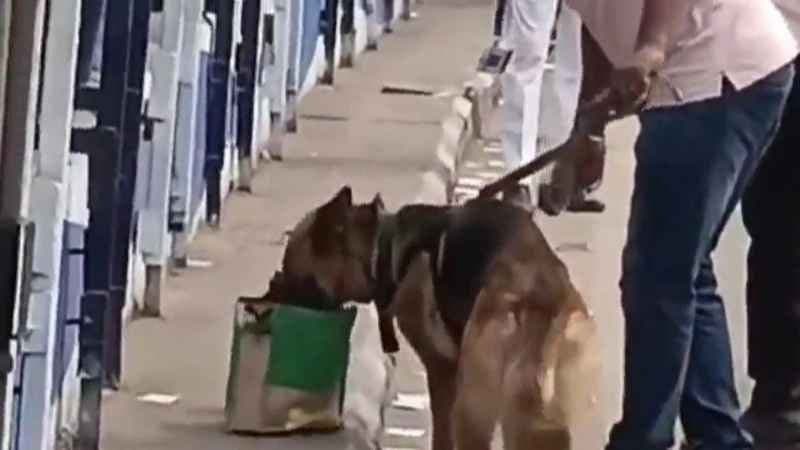 hoax bomb scare on second hooghly bridge gnr