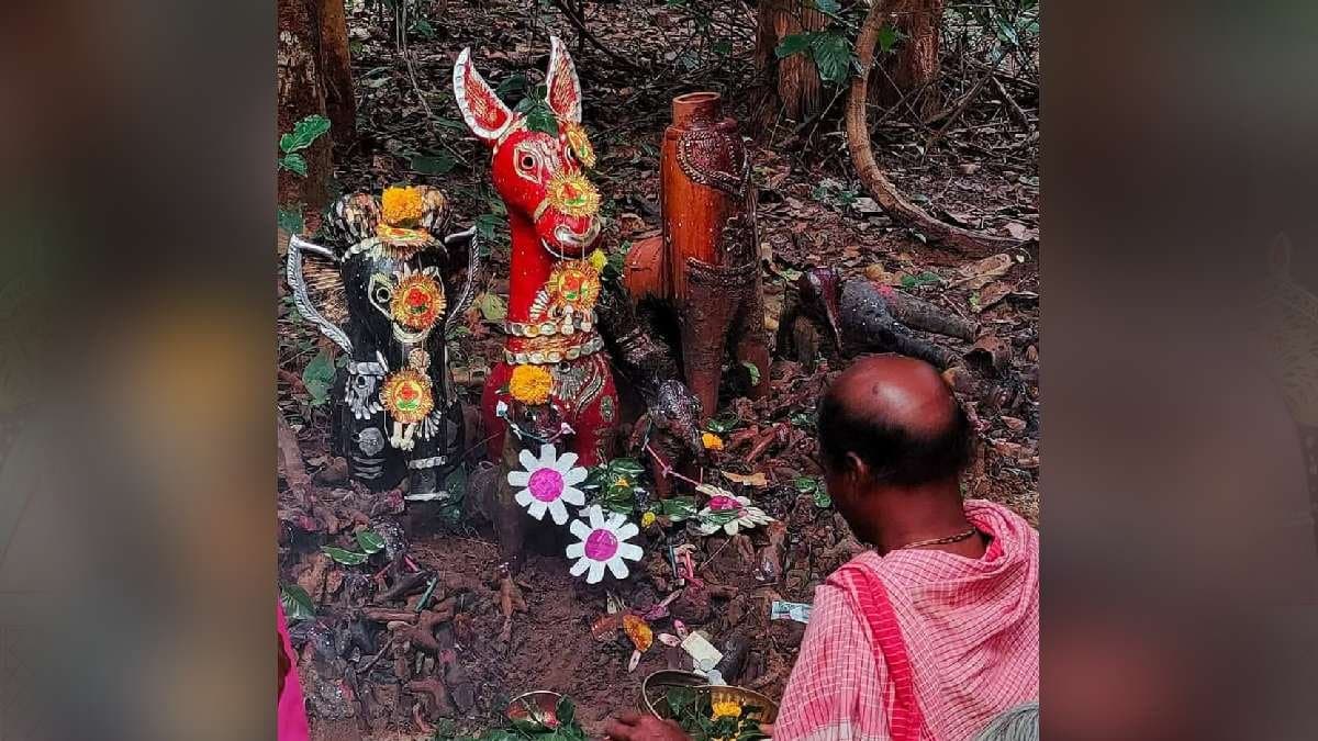 Blood is offered to Dehali Pari at Bankura know the reason 