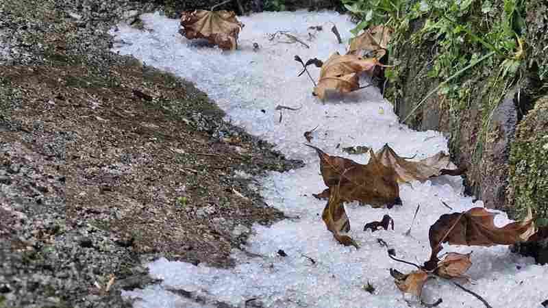 Tourists enjoying fresh snowfall in darjeeling gnr 