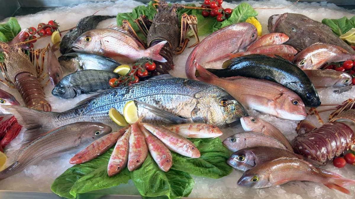 Is fish vegetarian or non-vegetarian this answer will leave you in shock