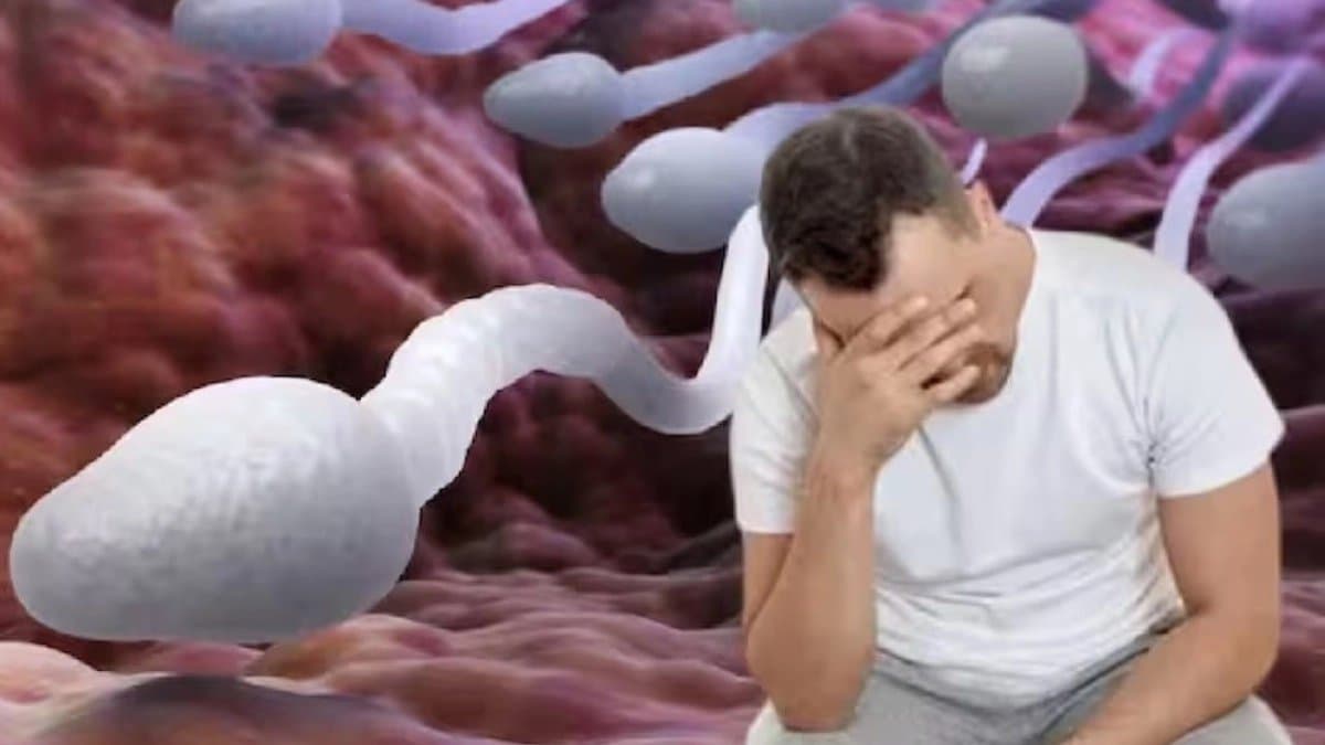 What should be the sperm count of man to have a child 