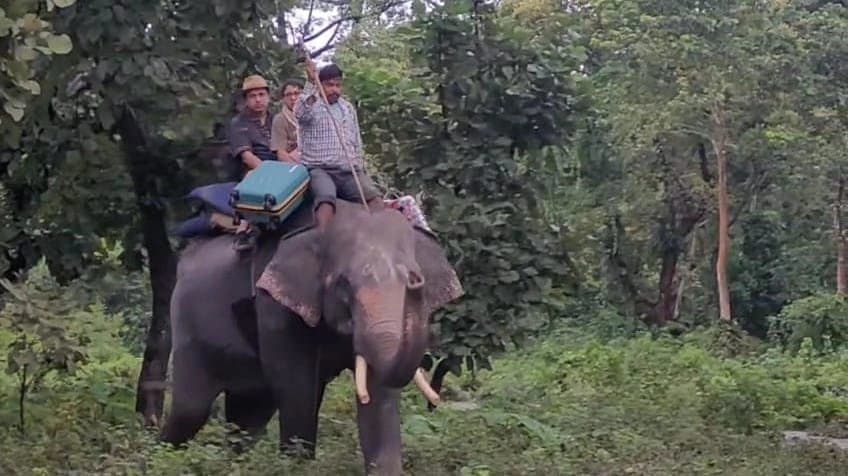 Tourists in North Bengal are rescued by elephants
