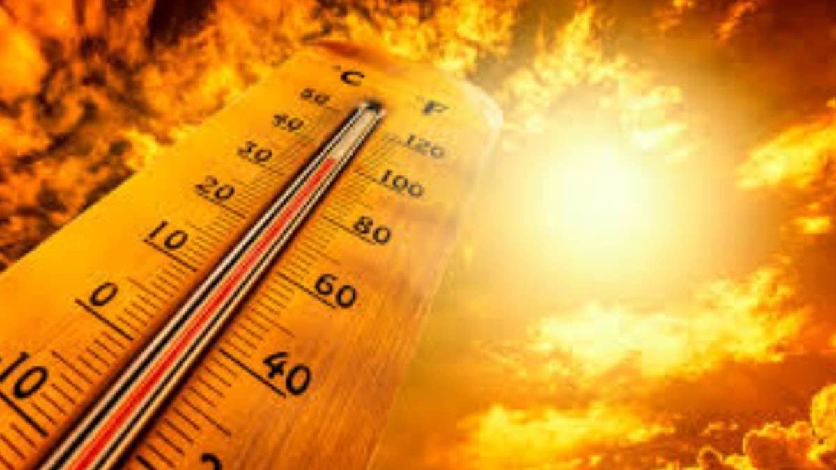 Heatwave crisis in India: rising temperatures increasing worker deaths