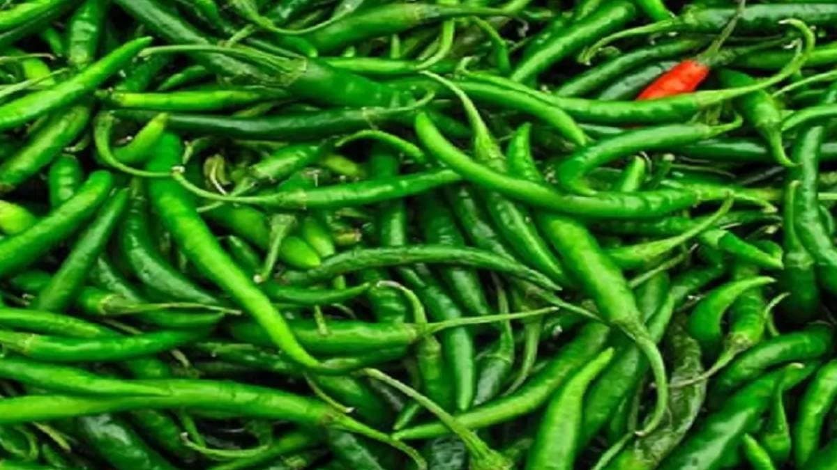 Health Tips benefits of eating green chilli
