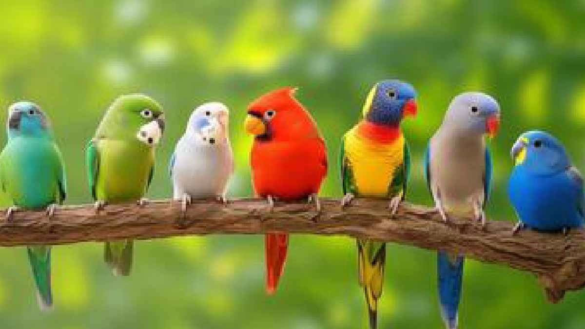 Artificial Light at Night Is Disrupting Bird Behavior: Study Finds