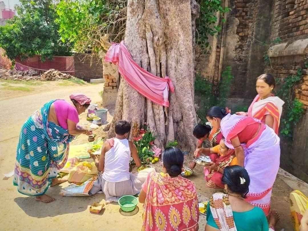 Aranya Sashthi Celebrated in Bankura