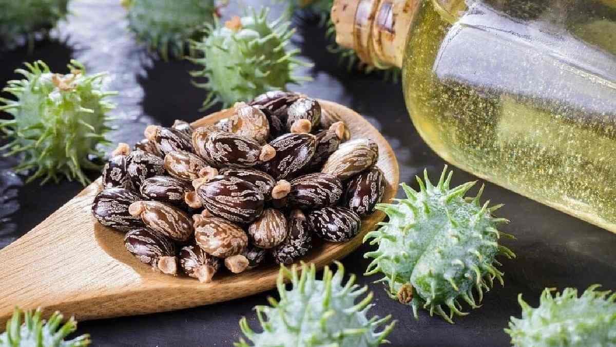 Massage coconut Oil castor oil and aloe vera to make attractive eye brow