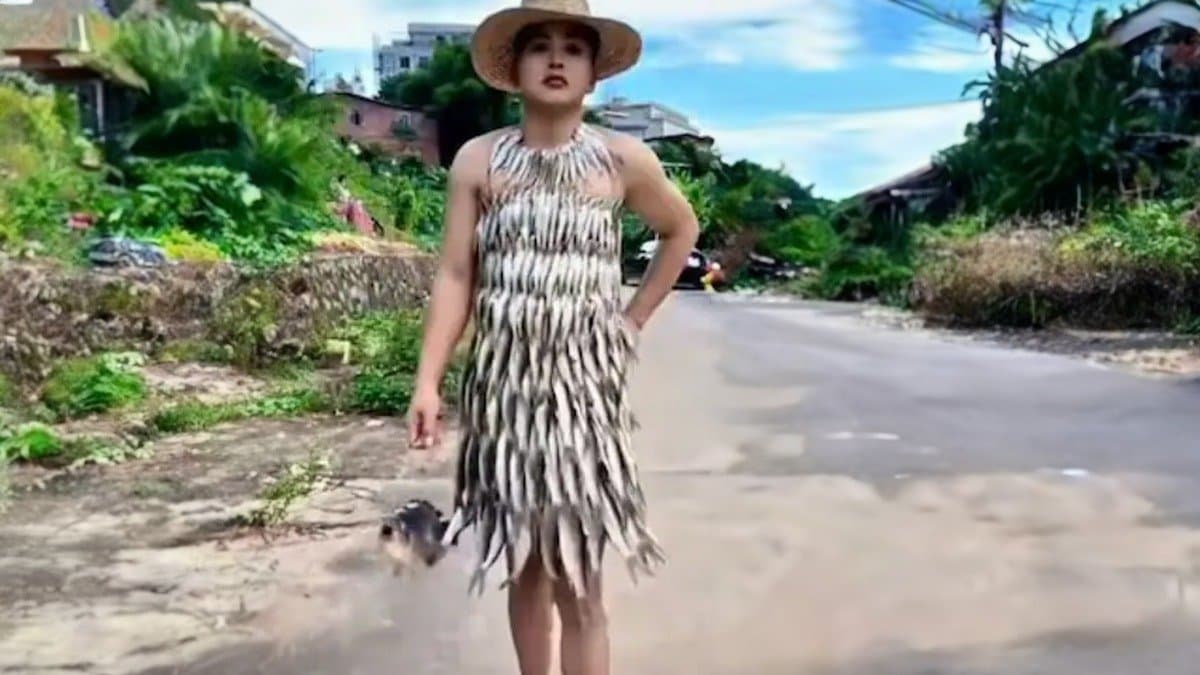 সামনে বিড়াল থাকলে খুলে যেতে পারে জামা! সমালোচনা করেও মডেলকে পরামর্শ নেটিজেনদের