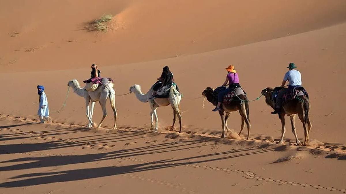 Sahara desert in Africa was once full of trees had rivers but how became desert 
