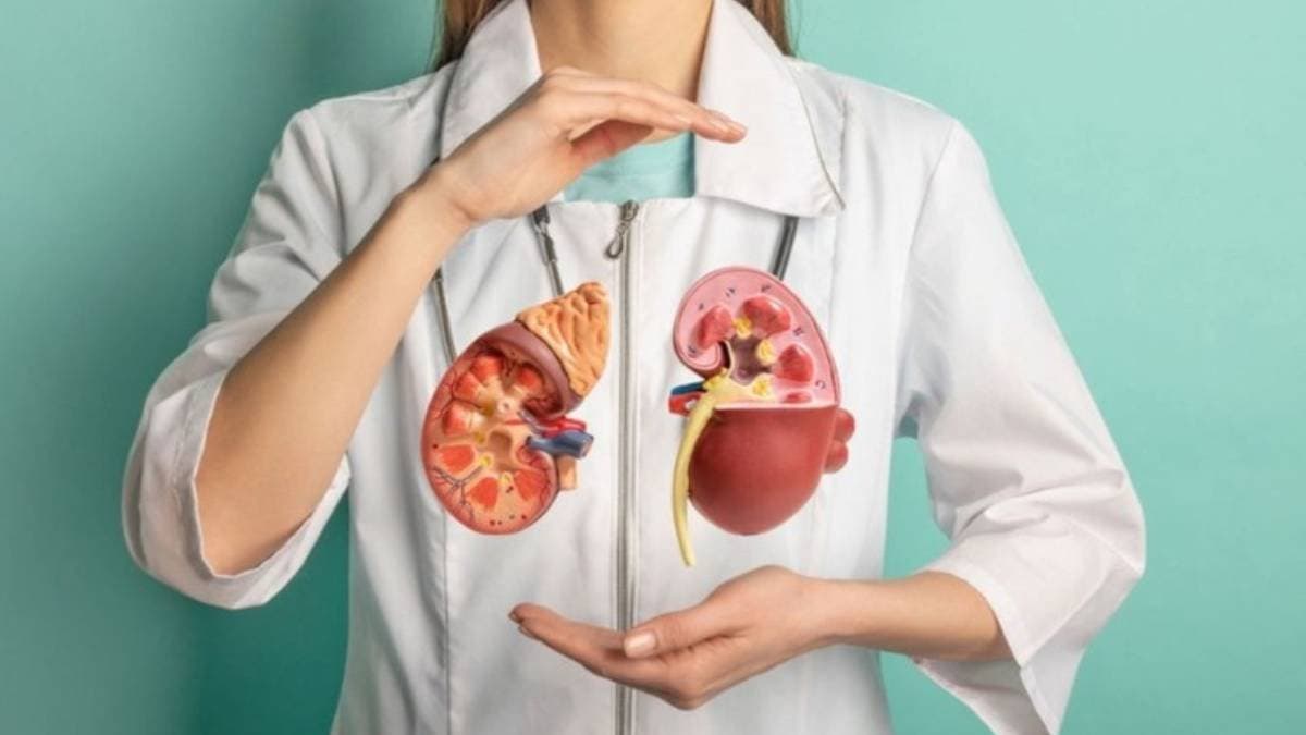 Kidney Disease: these morning habits can damage your kidneys