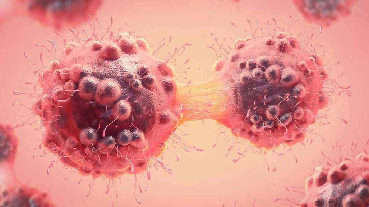 Dandelion Root is gaining attention for potential to Cure Cancer