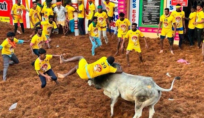 Tamilnadu: তামিলনাড়ুতে জাল্লিকাট্টুর বলি ২, আহত ৭০ 