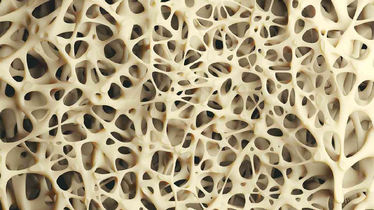 Healthy Diet: Five foods to eat to increase high bone density