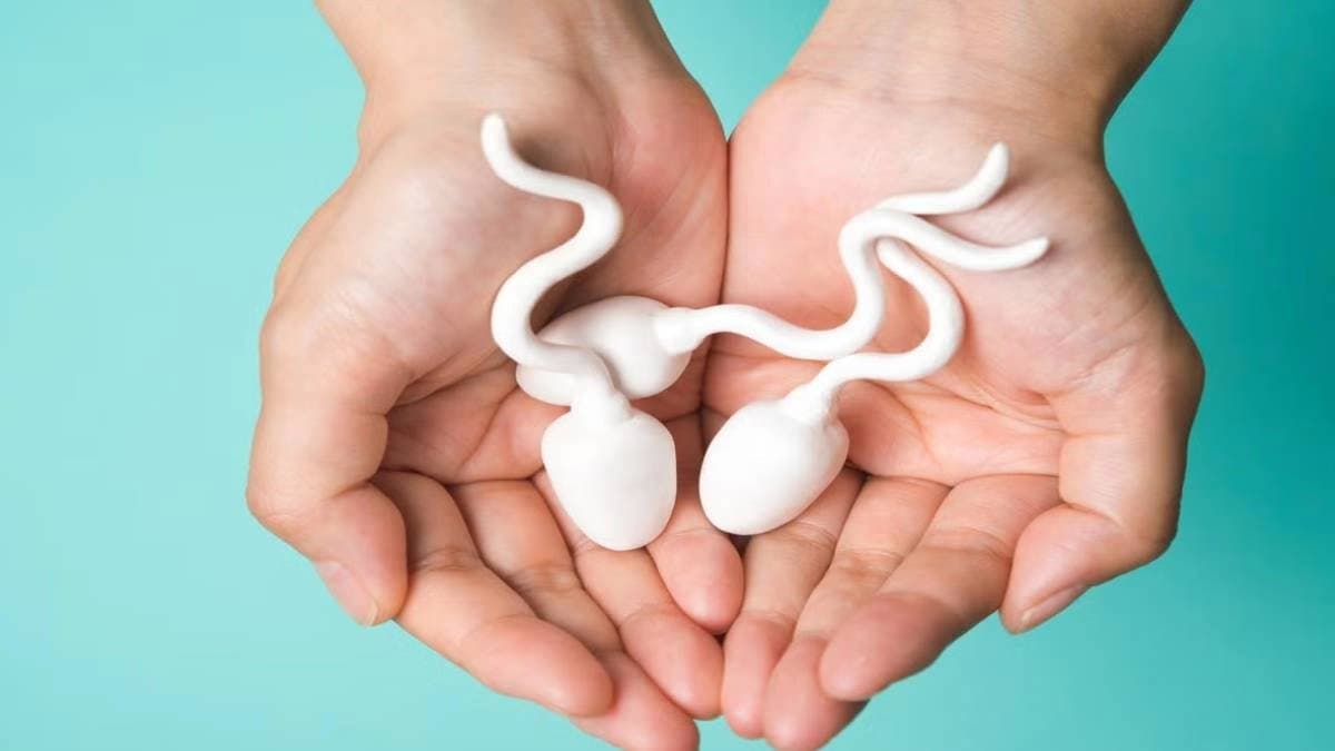 Healthy sperm count may give you long lasting life