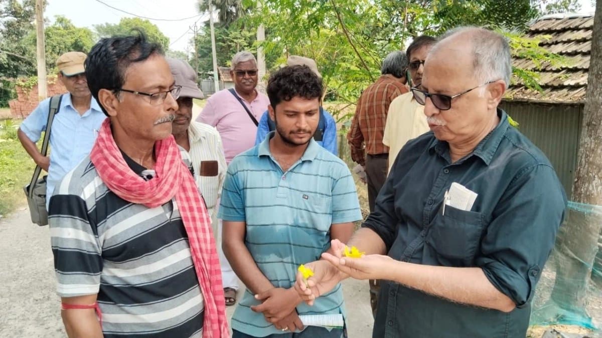 Researchers from Kalyani Agricultural University support farmers in restoring damaged vegetables