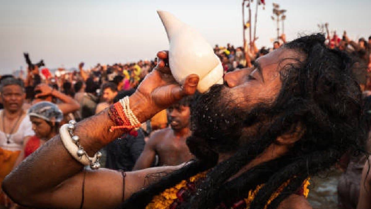 Mahakumbhmela2025 knowThe Main Difference Between Naga Sadhus And Aghoris gnr