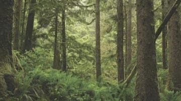 Over 100 Children Part Of School Tour Left Stranded After Dark For Hours In Dense UP Forest gnr 