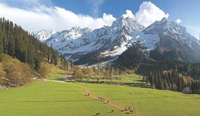Kashmir : কাশ্মীরে পর্যটকদের নতুন রেকর্ড 
