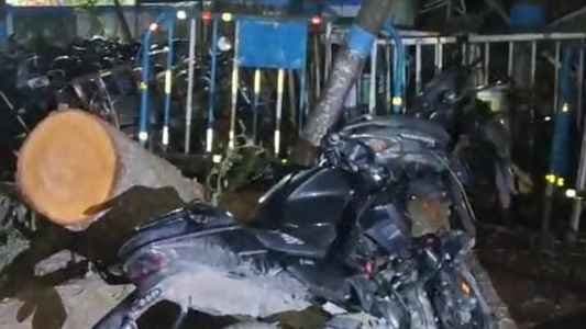 Four Killed 16 Injured in Murshidabad Bike Accident