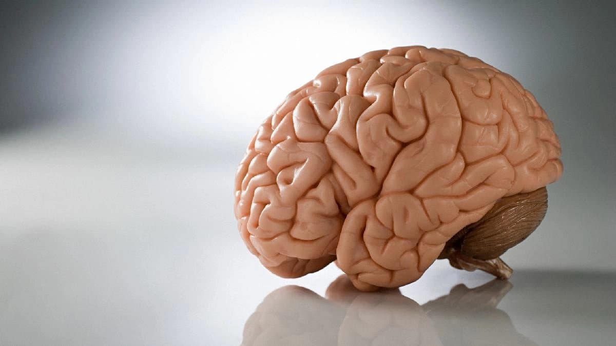 Brain health issues: scrolling through reels can damage your brain says study