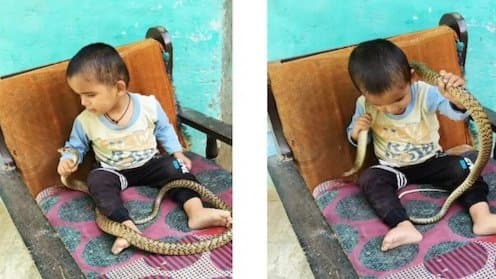 Little Boy Playing With Snake Sparks Outrage on Social Media 