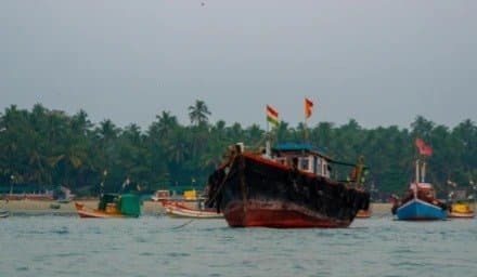 নীলকন্ঠের দেখা মিলল চাঁদখালিতে