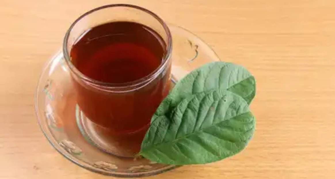 Guava leaves tea helps cure diabetes