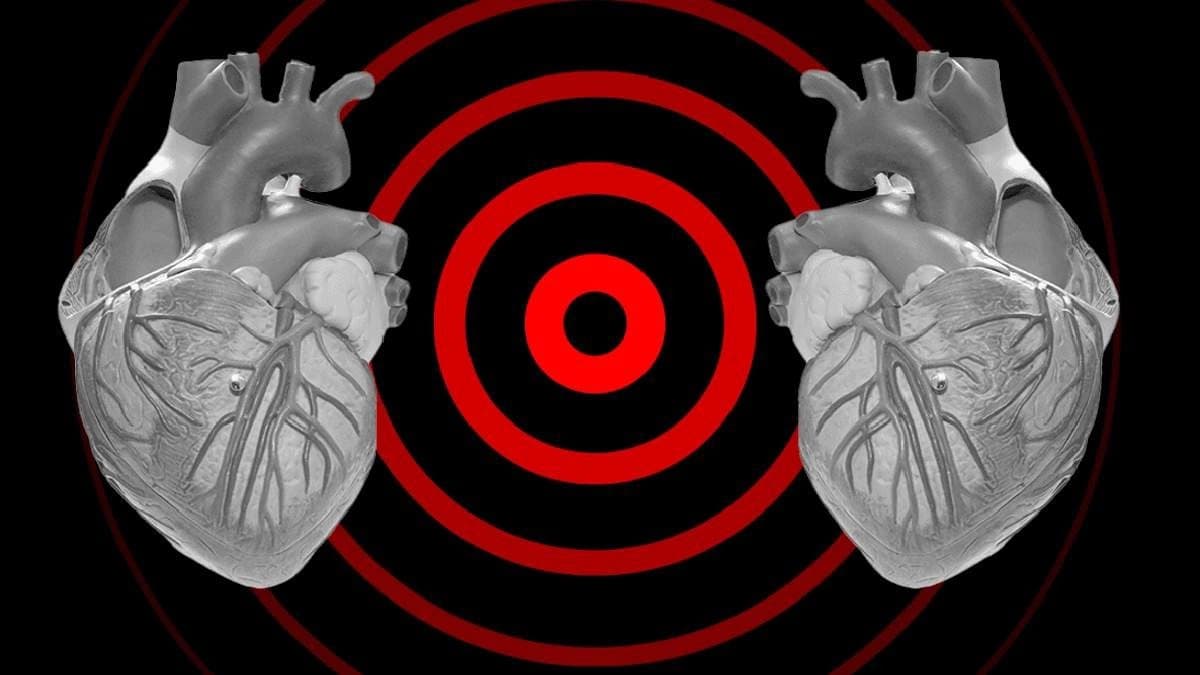 The Reason why Calf Muscle is called the Second Heart of the body