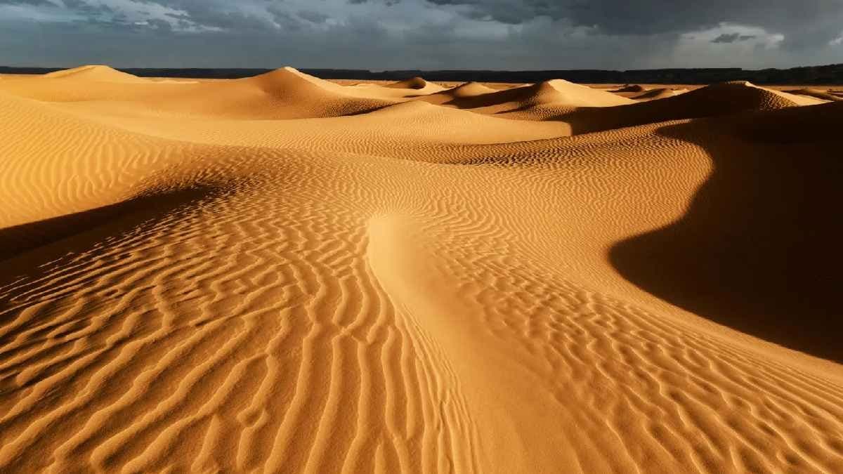 Scientist Discovered 7000 year Old Mummies in the Sahara Desert 