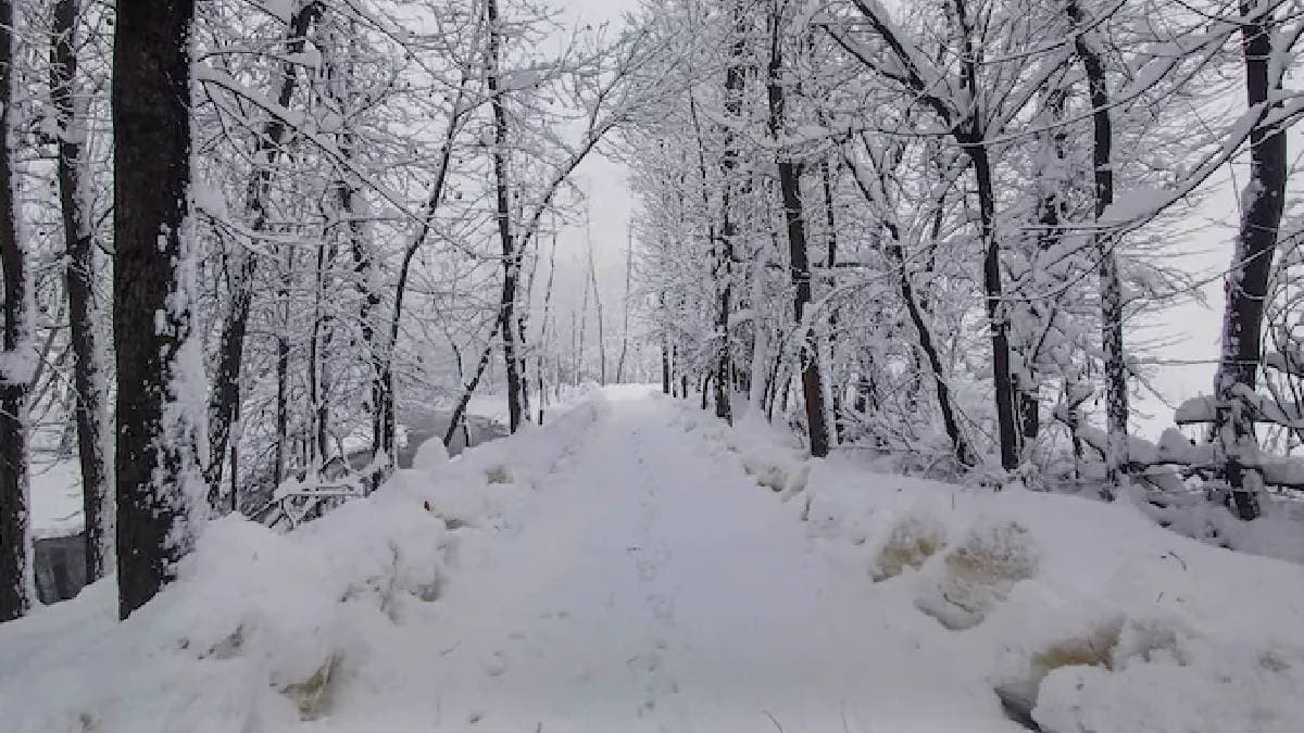 New Year to begin with heavy snowfall in jammu and Kashmir gnr