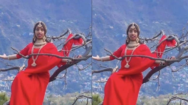 Saree Clad Woman Sits Atop Tree In Bizarre  Video